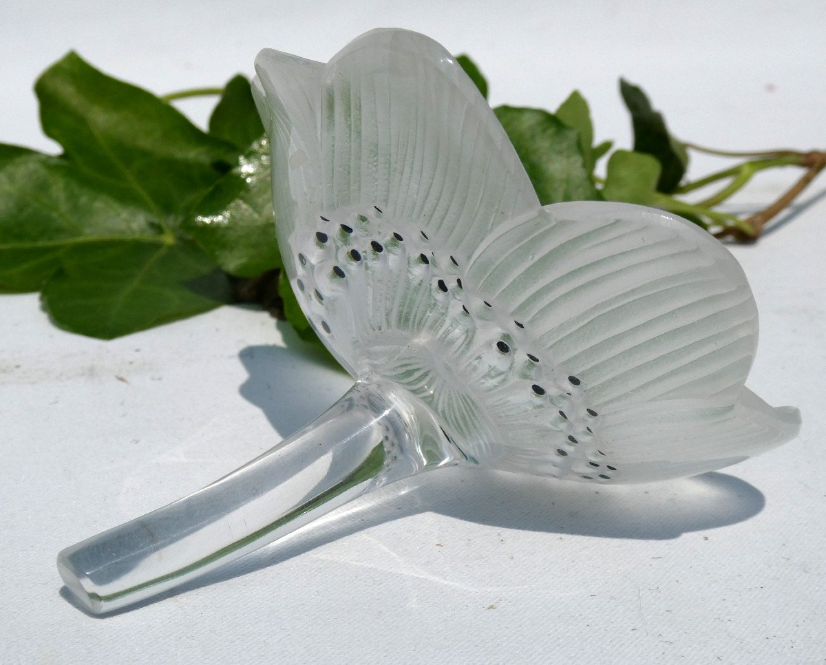Presse Papier , Fleur En Cristal De Lalique , Anemone Style Art Deco -photo-4