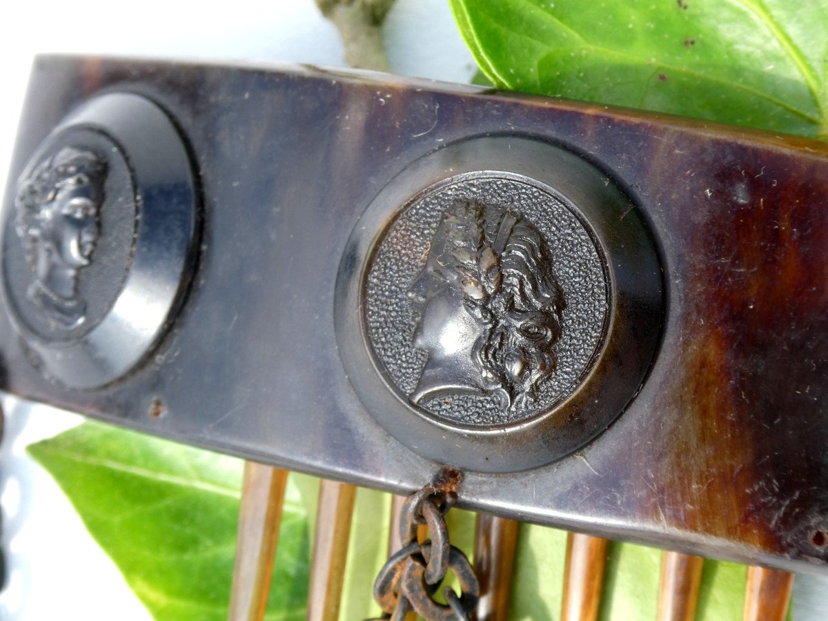 Napoleon III Period Ball Bun Comb, Hair Tiara, 19th Century Jewelry, Pressed Tortoiseshell-photo-4