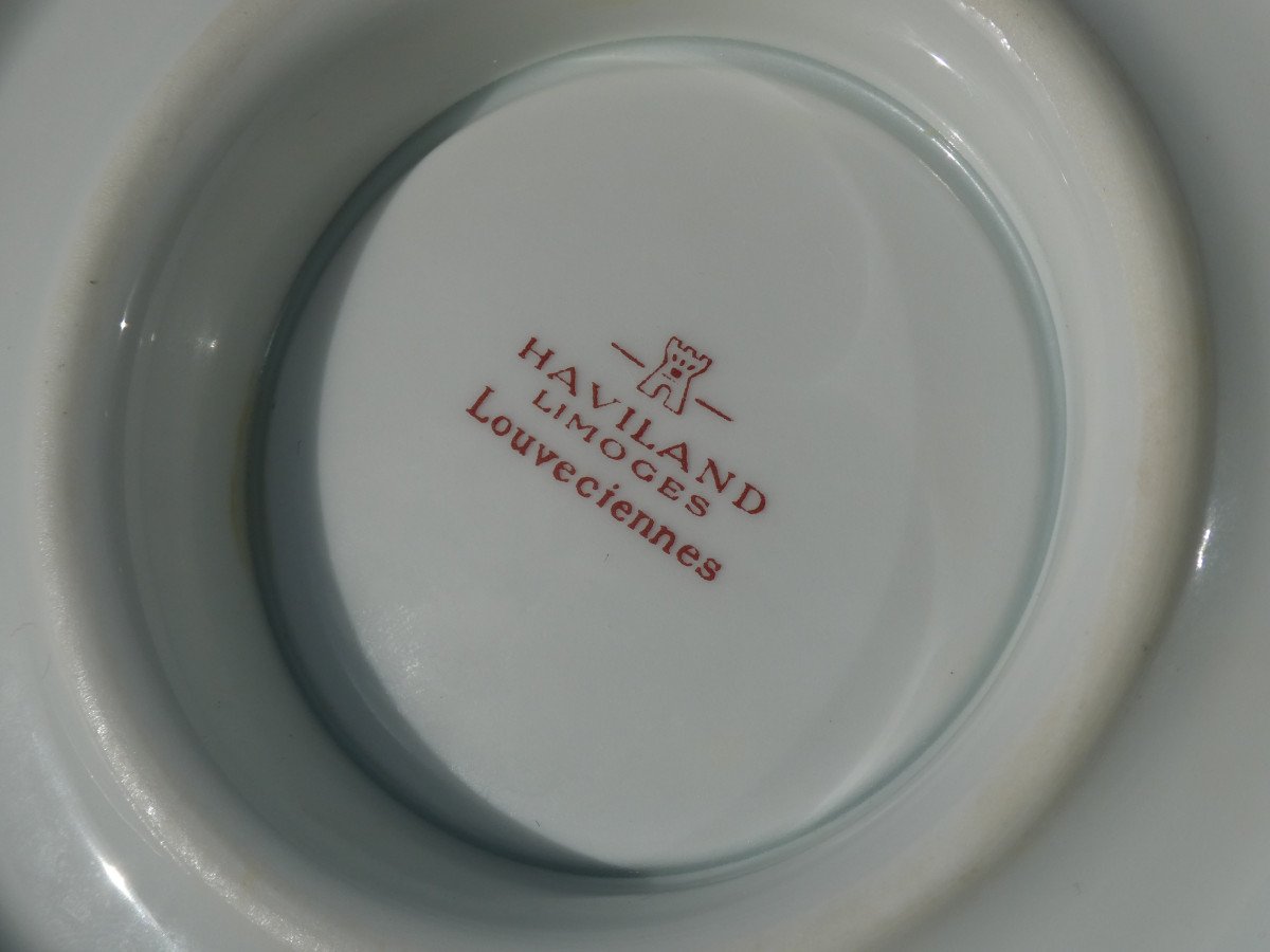 Important Haviland Limoges Porcelain Table Service, Louveciennes Marie Antoinette Decor , Sevres Style-photo-2