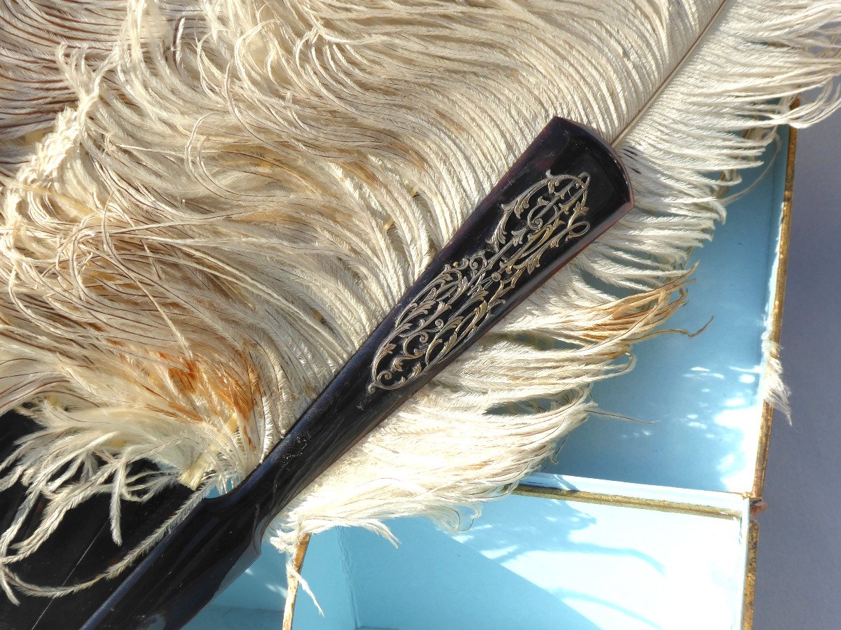 Large Ball Fan In Ostrich Feathers & Tortoise Shell 19th Century Paris Templar Fan-photo-3