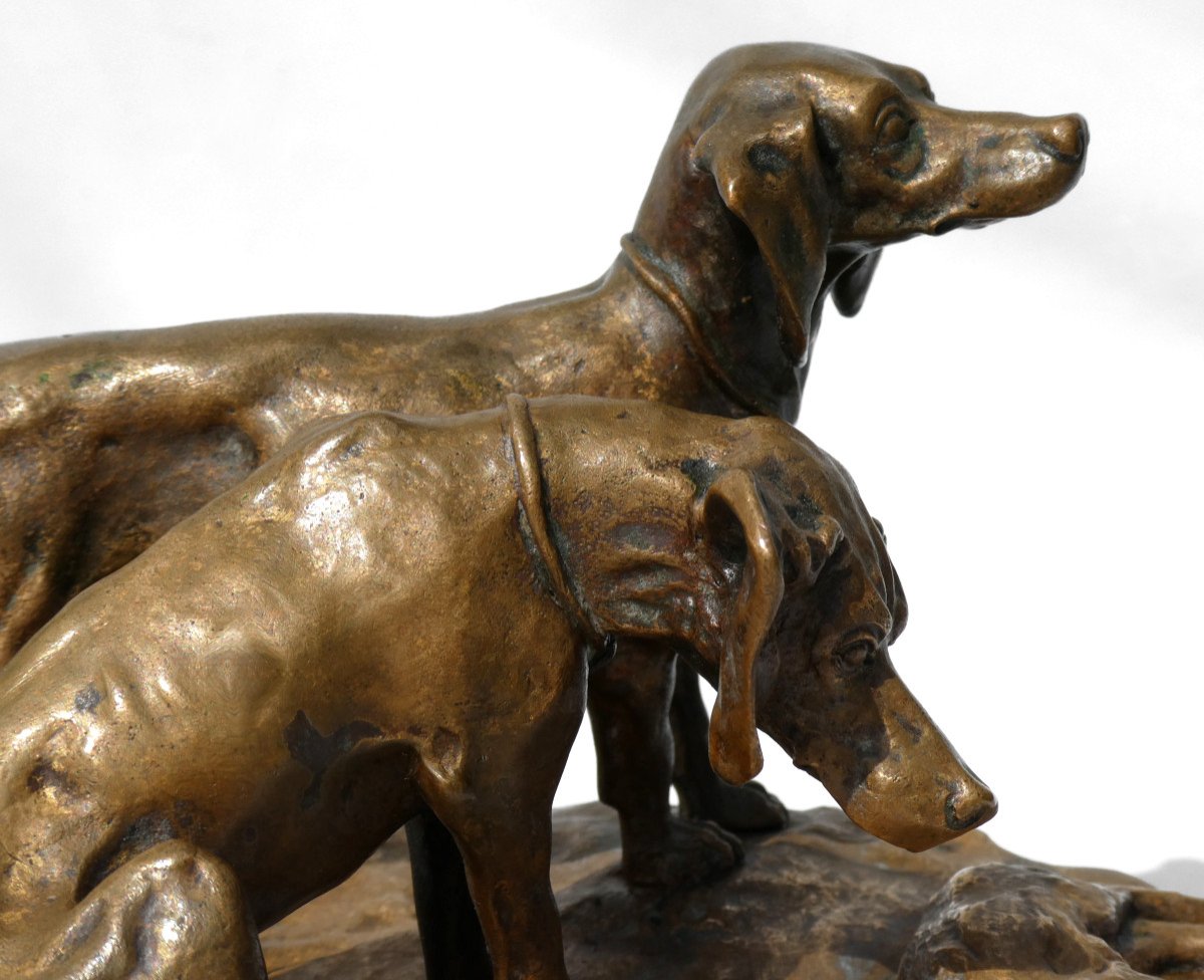 Sculpture En Bronze Patiné , Sujet Animalier , Deux Chiens De Chasse époque XIXe Siecle , Signé-photo-6