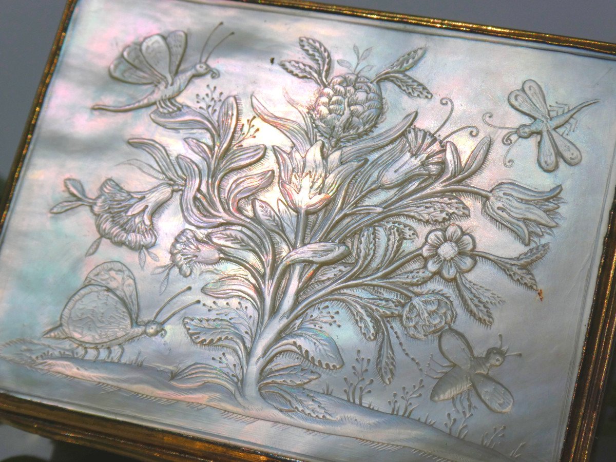 Carved Mother-of-pearl Fly Box / Snuff Box, Louis XVI Period, 18th Century, Butterflies Insects-photo-1