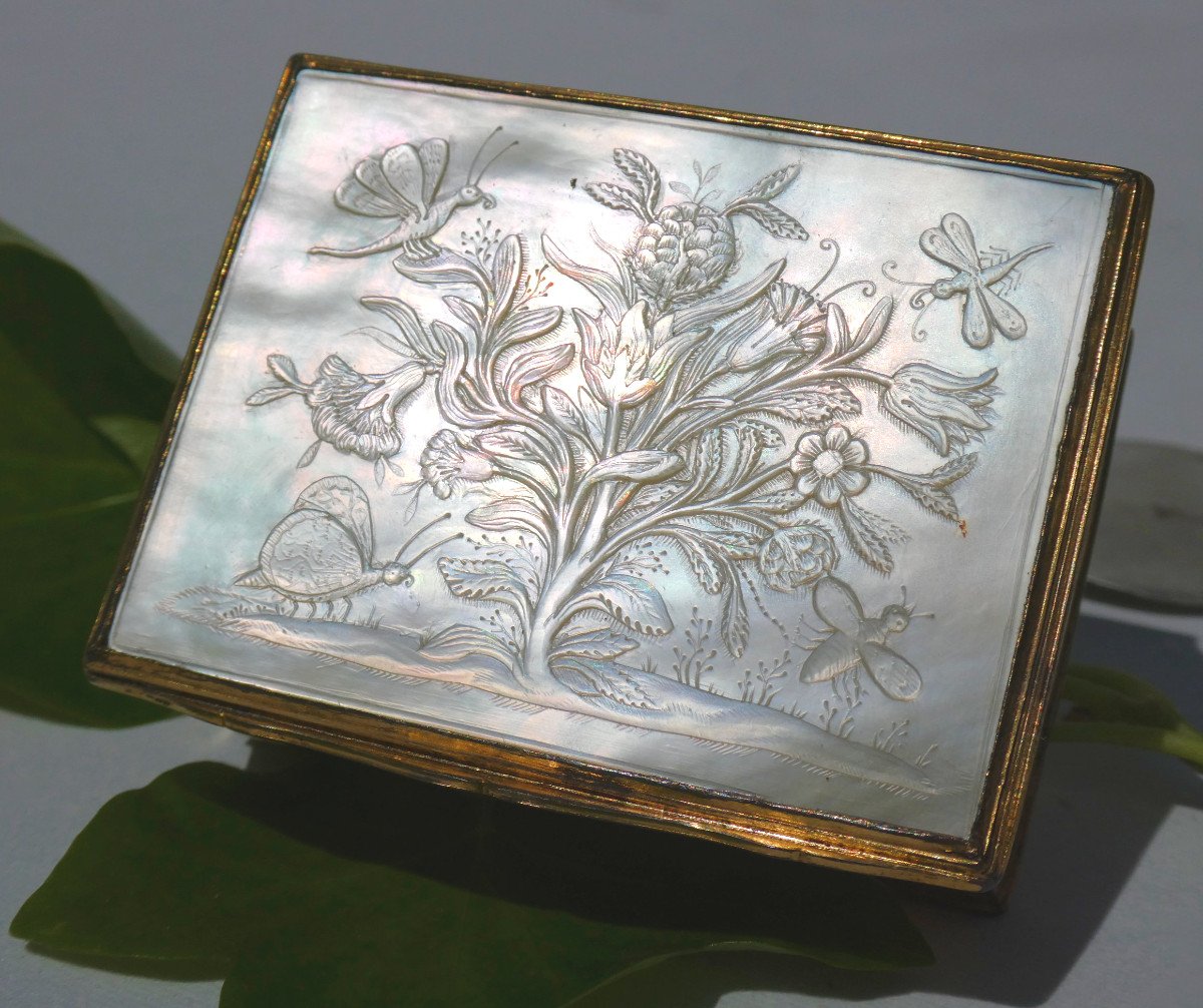 Carved Mother-of-pearl Fly Box / Snuff Box, Louis XVI Period, 18th Century, Butterflies Insects