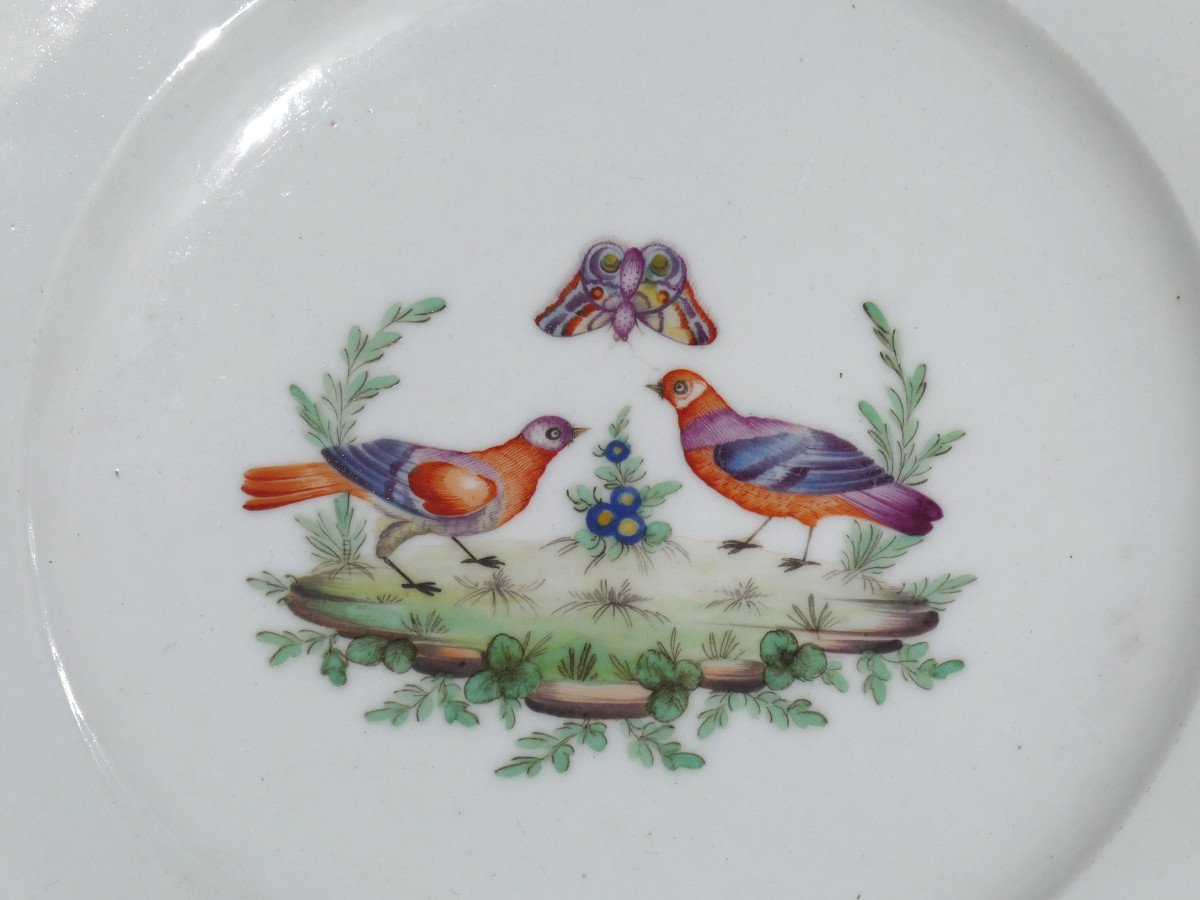 Series Of Six Lille Porcelain Plates, Manufacture Au Dauphin, 18th Century Bird Decor-photo-3
