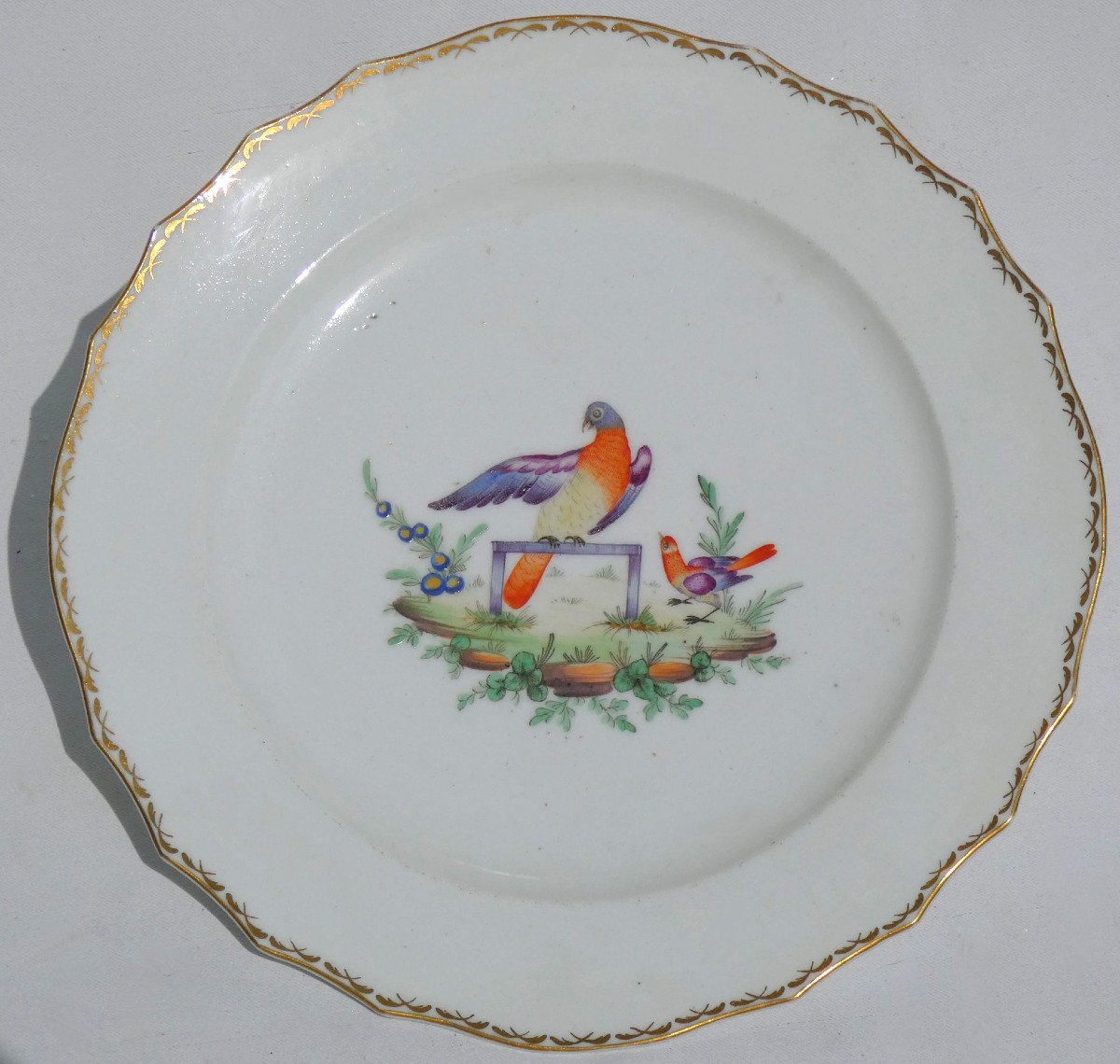 Series Of Six Lille Porcelain Plates, Manufacture Au Dauphin, 18th Century Bird Decor-photo-3
