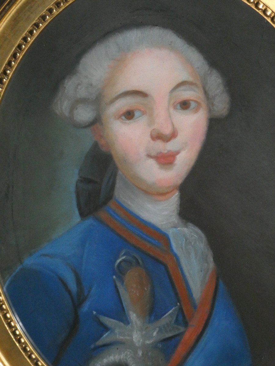 Pastel Portrait Of The Count Of Artois Future King Of France Louis XVIII, 19th Century Royalism-photo-2
