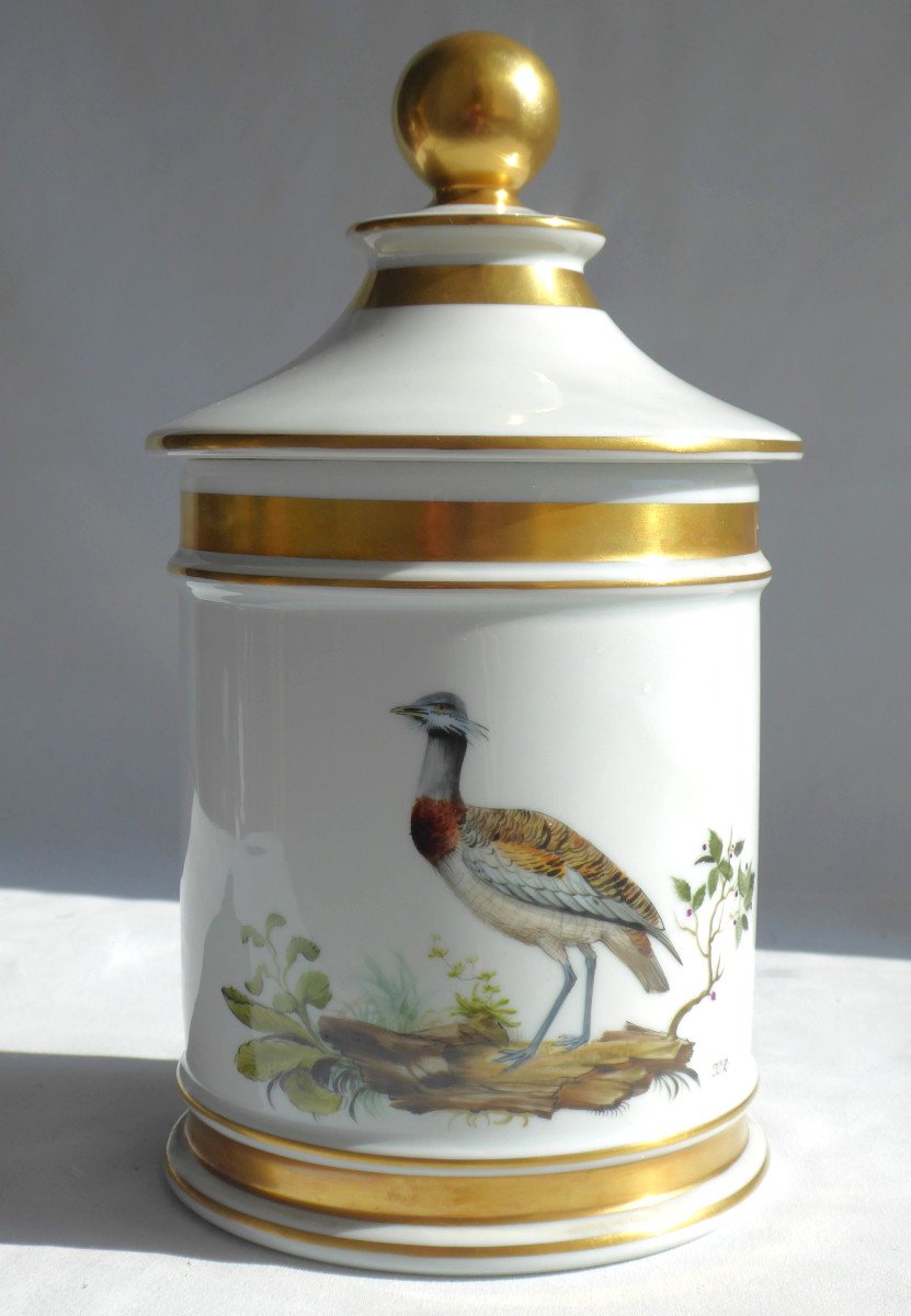 Pot d&#039;Apothicaire Couvert Porcelaine De Limoges D&eacute;cor d&#039;Outarde Oiseau Peint Style XIXe Buffon