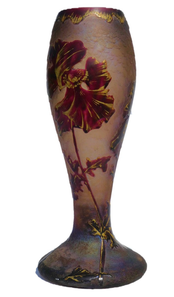 Baluster Vase In Acid-etched Glass, Montjoye, Art Nouveau Style, Enamel, Legras 19th Century-photo-3