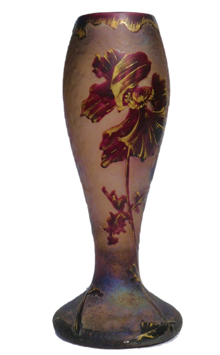 Baluster Vase In Acid-etched Glass, Montjoye, Art Nouveau Style, Enamel, Legras 19th Century-photo-4