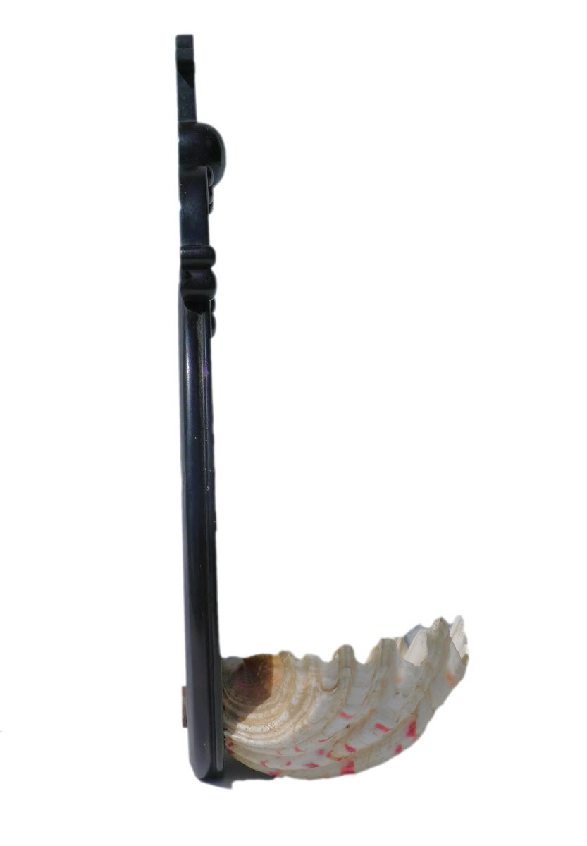 Napoleon III Period Wall-mounted Holy Water Font, Shell, Blackened Wood & Mother-of-pearl, Napoleon III Ebonite -photo-1