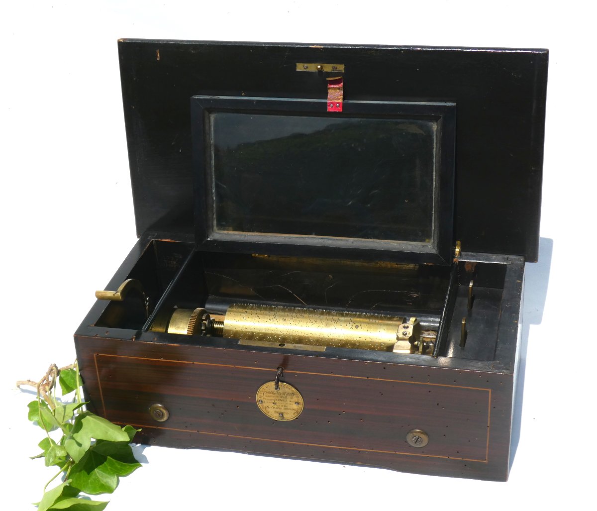 Napoleon III Period Living Room Music Box / Case, Weiser And Neuman Paris Gavioli-photo-4