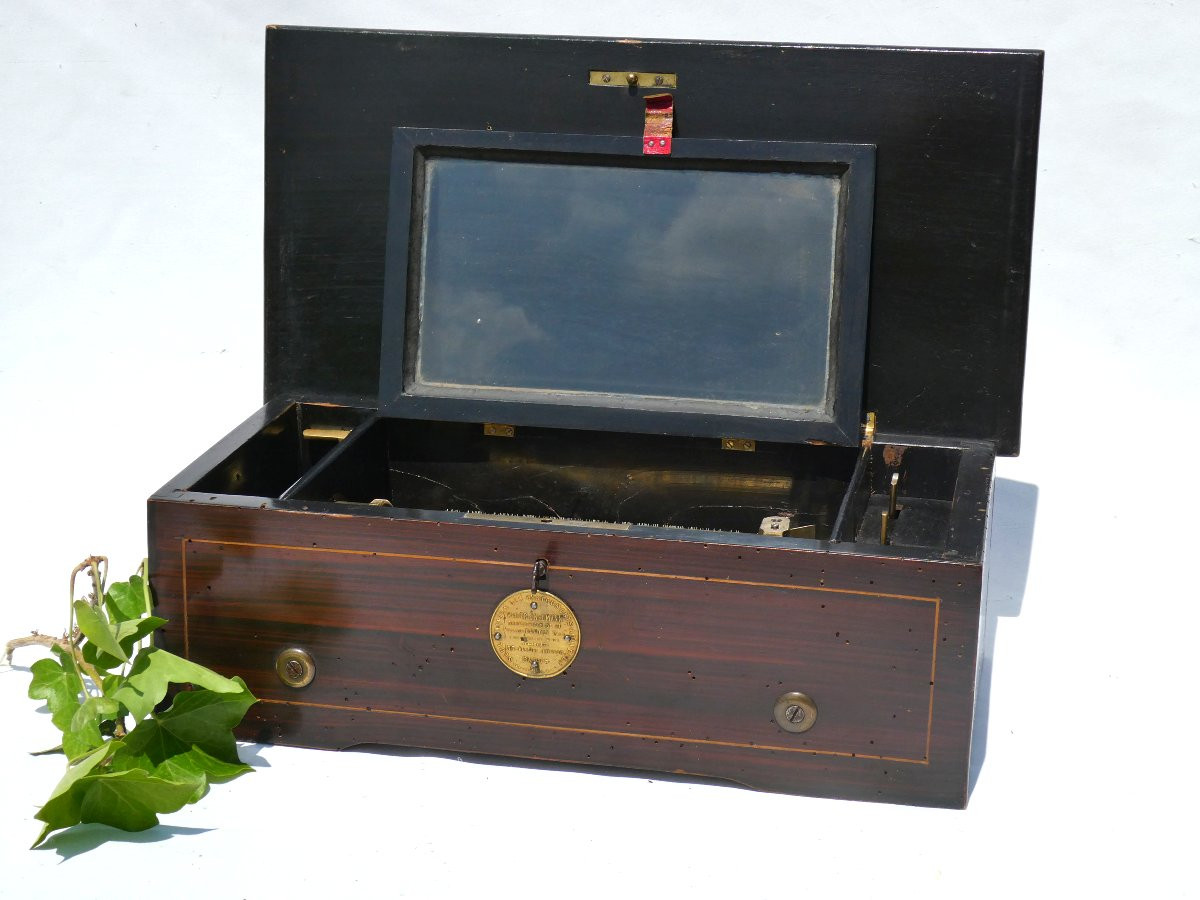 Napoleon III Period Living Room Music Box / Case, Weiser And Neuman Paris Gavioli-photo-2