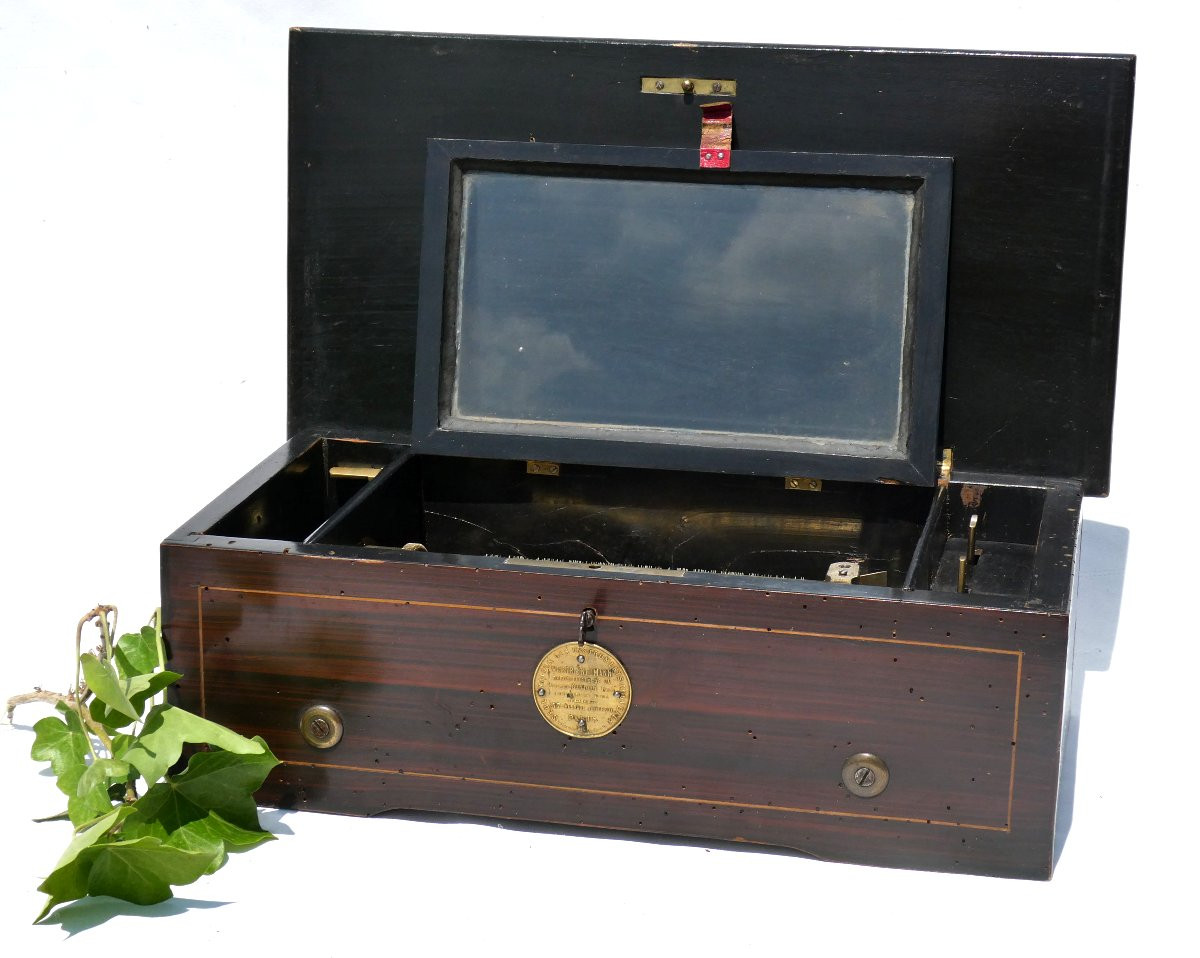 Napoleon III Period Living Room Music Box / Case, Weiser And Neuman Paris Gavioli-photo-4