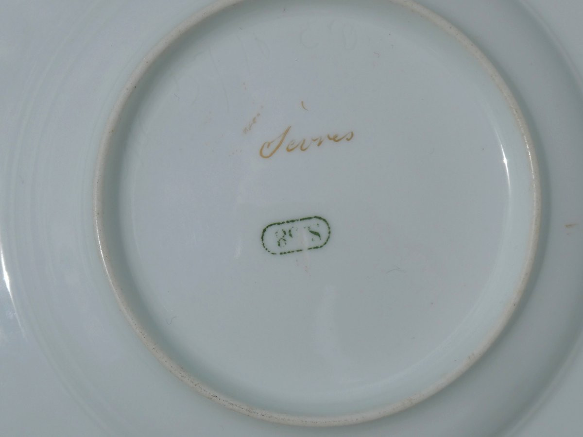 tasse à thé en porcelaine de sevres , décor de fleurs , époque Napoléon iii , XIXe , bambou-photo-7