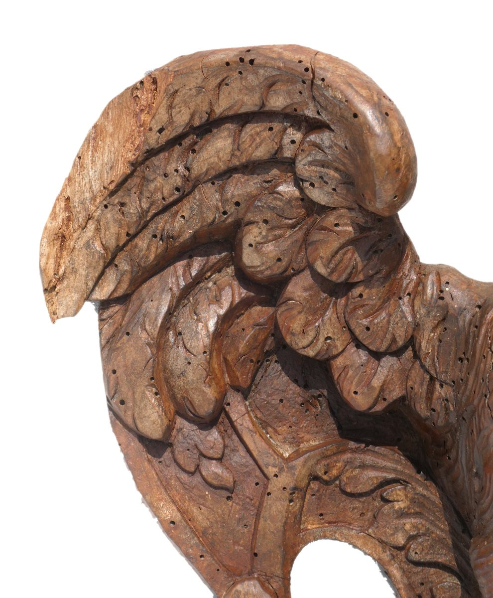 Sculpture En Bois , Aigle D'apothicaire , Boiserie Epoque XVIIIe , Pharmacie-photo-5