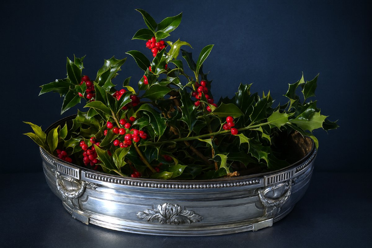 Large Planter, Centerpiece, Signed Gallia/christofle; Silver-plated Metal, Circa 1900, Vase-photo-2