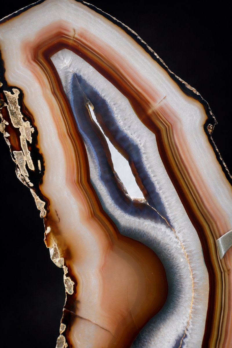 1970 Butterfly Sculpture In Agate, Marble & Brushed Metal, Willy Daro Style, 20th Century-photo-3