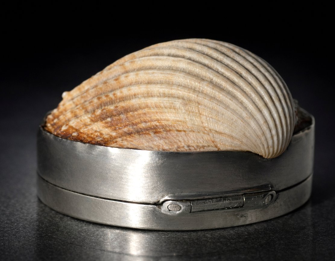 Tabatiere XIXe , Argent massif & nacre , Boite à Pillules , Coquillage , Allemagne -photo-2