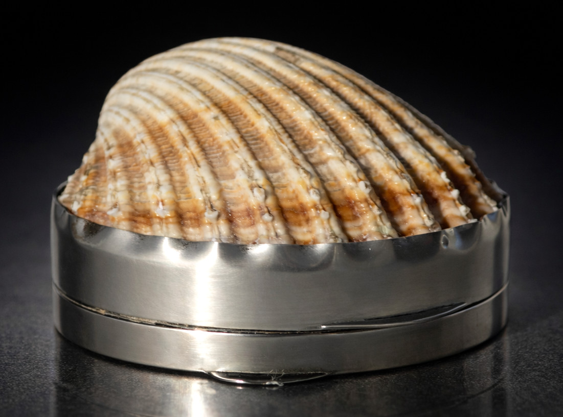 Tabatiere XIXe , Argent massif & nacre , Boite à Pillules , Coquillage , Allemagne 