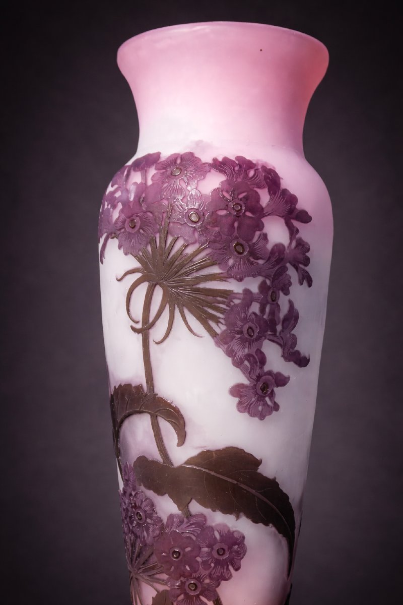 Grand Vase Emile Gallé , Decor De Berce Heracleum , Verre Degagé à L'Acide , Art Nouveau , 1900-photo-4