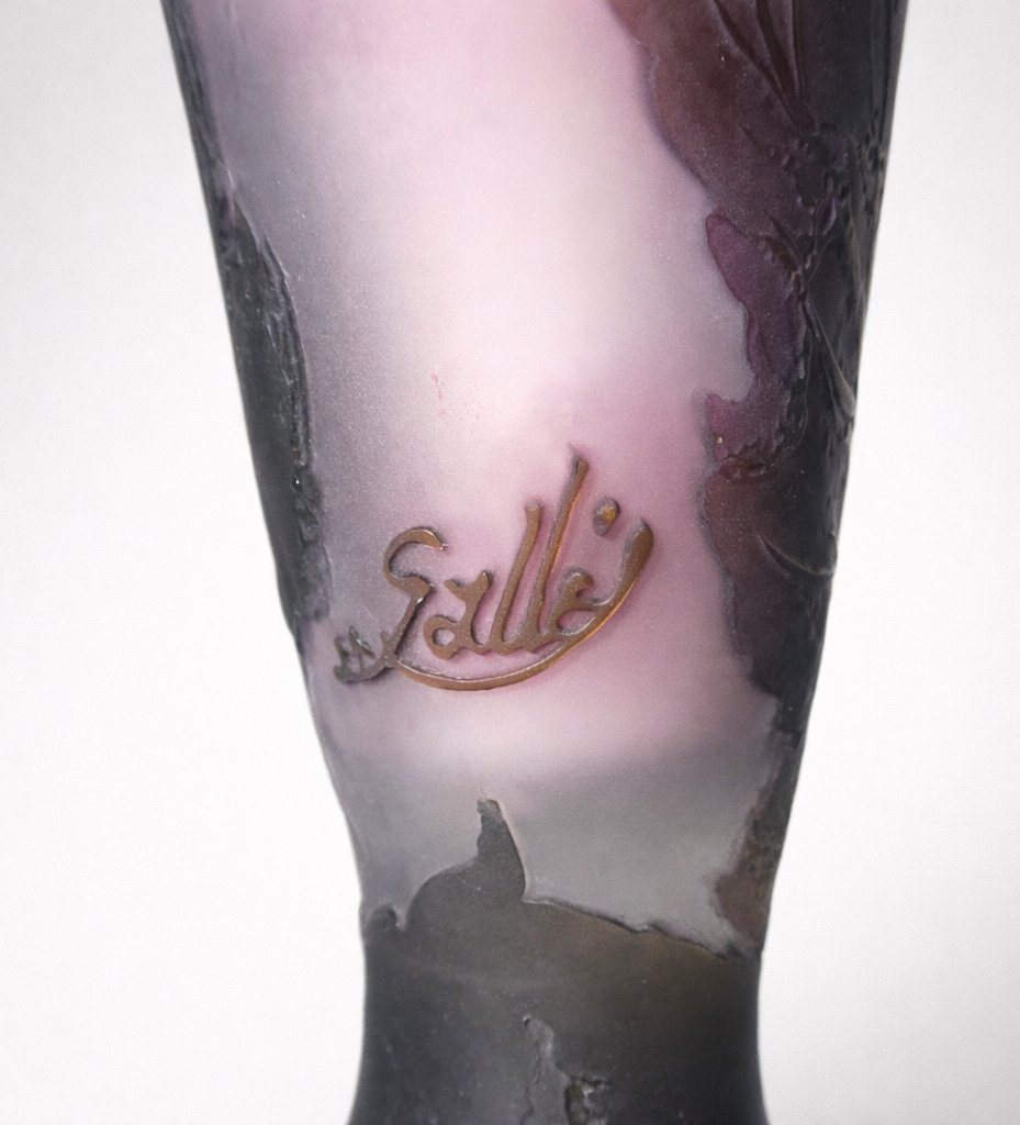 Grand Vase Emile Gallé , Decor De Berce Heracleum , Verre Degagé à L'Acide , Art Nouveau , 1900-photo-2