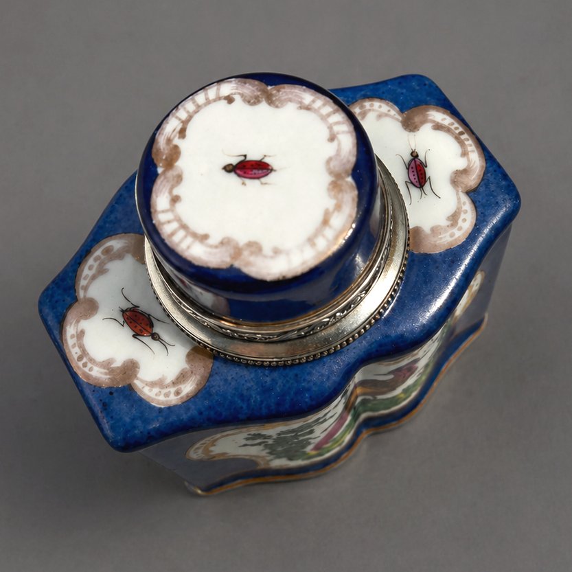 18th Century Porcelain Tea Box, Solid Silver Mounting, 19th Century, Birds With Branches-photo-1