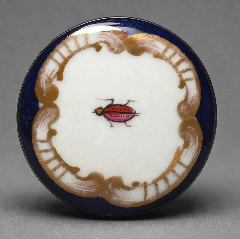 18th Century Porcelain Tea Box, Solid Silver Mounting, 19th Century, Birds With Branches-photo-3