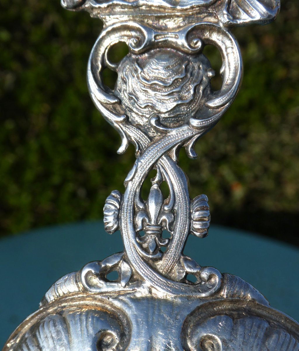 Large Piece In Solid Silver XIXth , Portrait Marie Antoinette , Historical Souvenir , Louche-photo-5