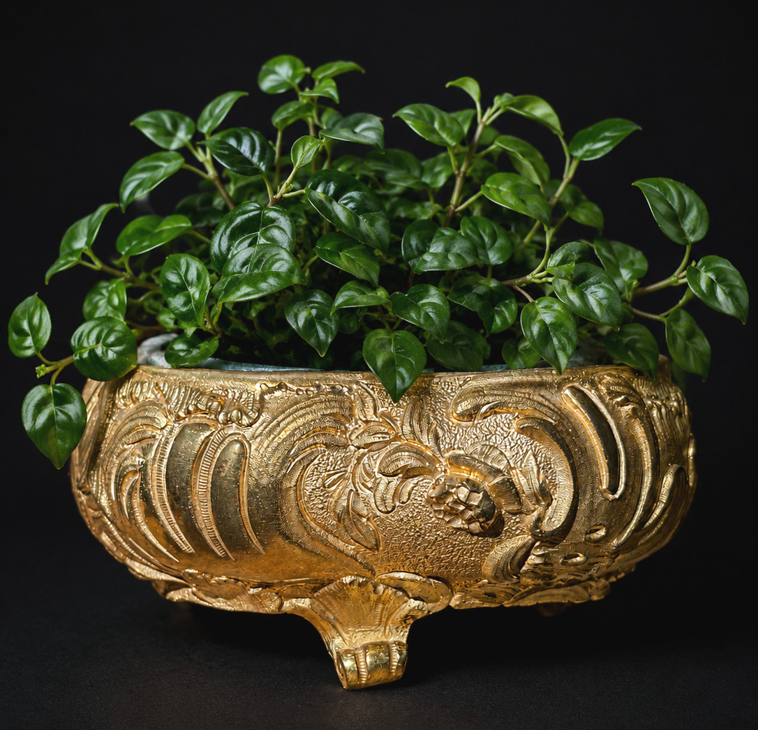 Jardiniere en Bronze Doré , 1900 Style Louis XV , Vide Poche XIXe , Trefle 