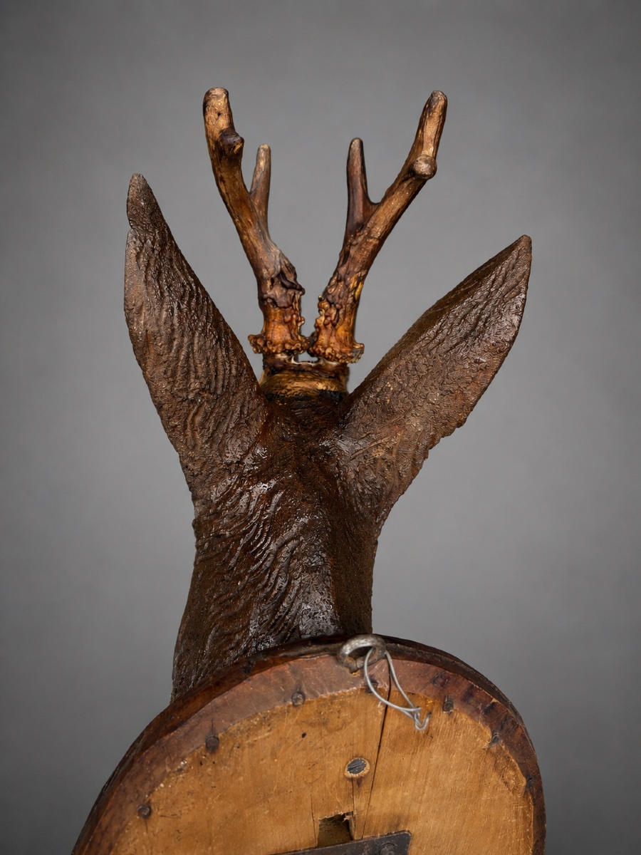 Trophée de Chevreuil en Bois Sculpté – Bois de Chevreuil Forêt Noire Chasse, Fin XIXe -photo-4