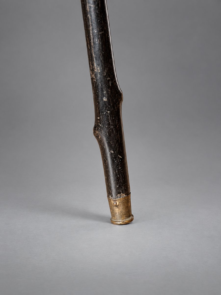 Canne De Marche XIXe , Style Gothique , Crane Humain & Arraignée , Napoléon iii , Vanité-photo-6