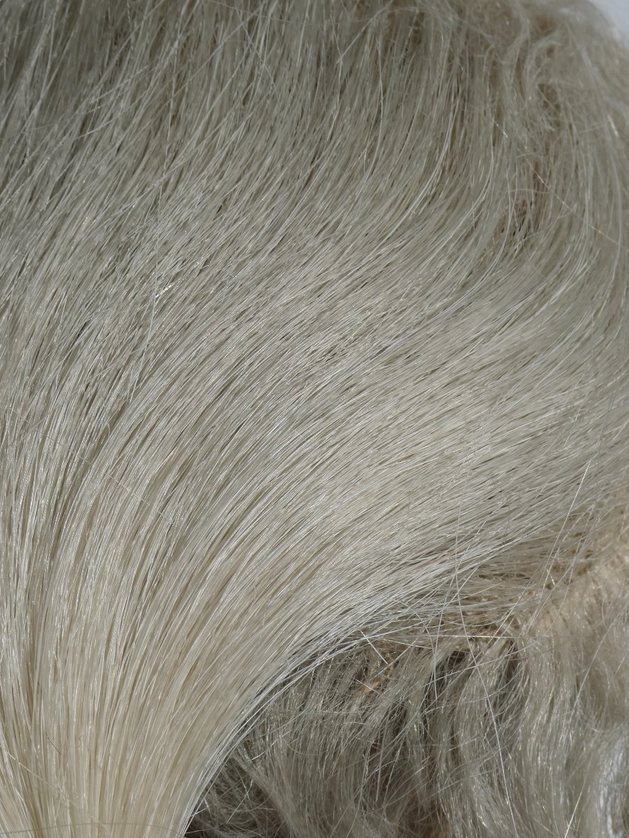 Perruque D'homme Style XVIIIe Siecle , Crin De Cheval , Boucle , Catogan , Costume Dandy -photo-6