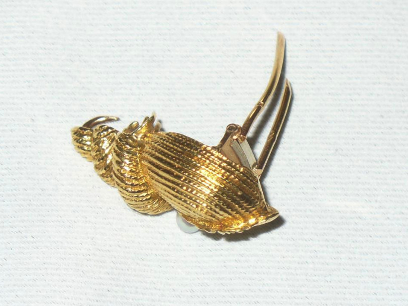 Gold And Pearl Brooch, Decoration It Shell / Conch, Epoque 1900-photo-4
