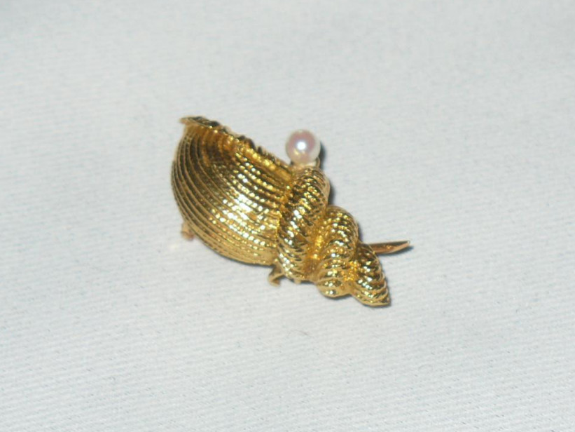 Gold And Pearl Brooch, Decoration It Shell / Conch, Epoque 1900-photo-1