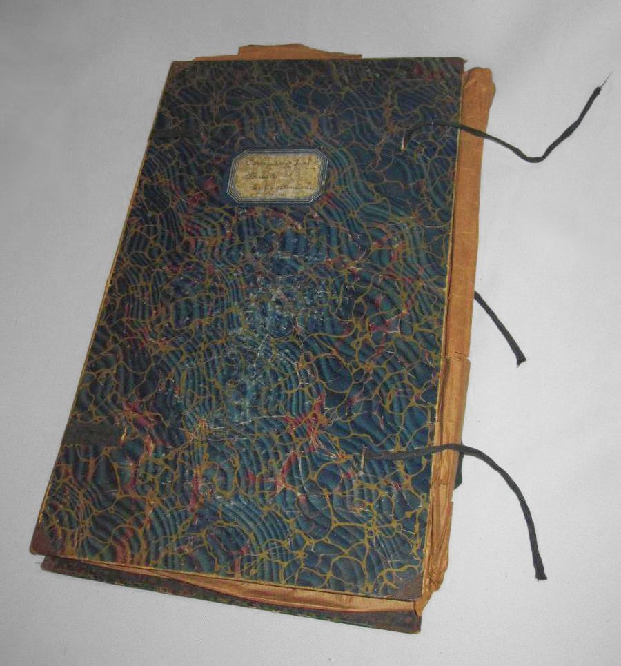 Herbarium Containing 26 Boards, Early 20th Century, Cabinet Of Curiosities, Plants-photo-3