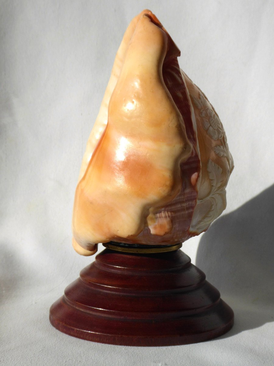 Coquillage Sculpté Type Camée Objet De Curiosité Style Antique Scène Religieuse Lampe Veilleuse-photo-3