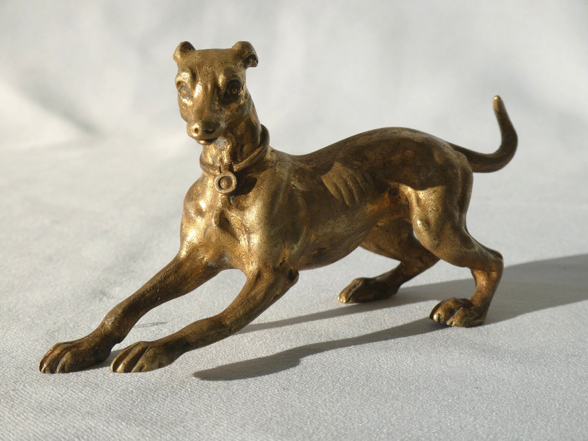 Dog Subject In Gilt Bronze, Greyhound, Vienna Bronze Nineteenth Napoleon III-photo-2
