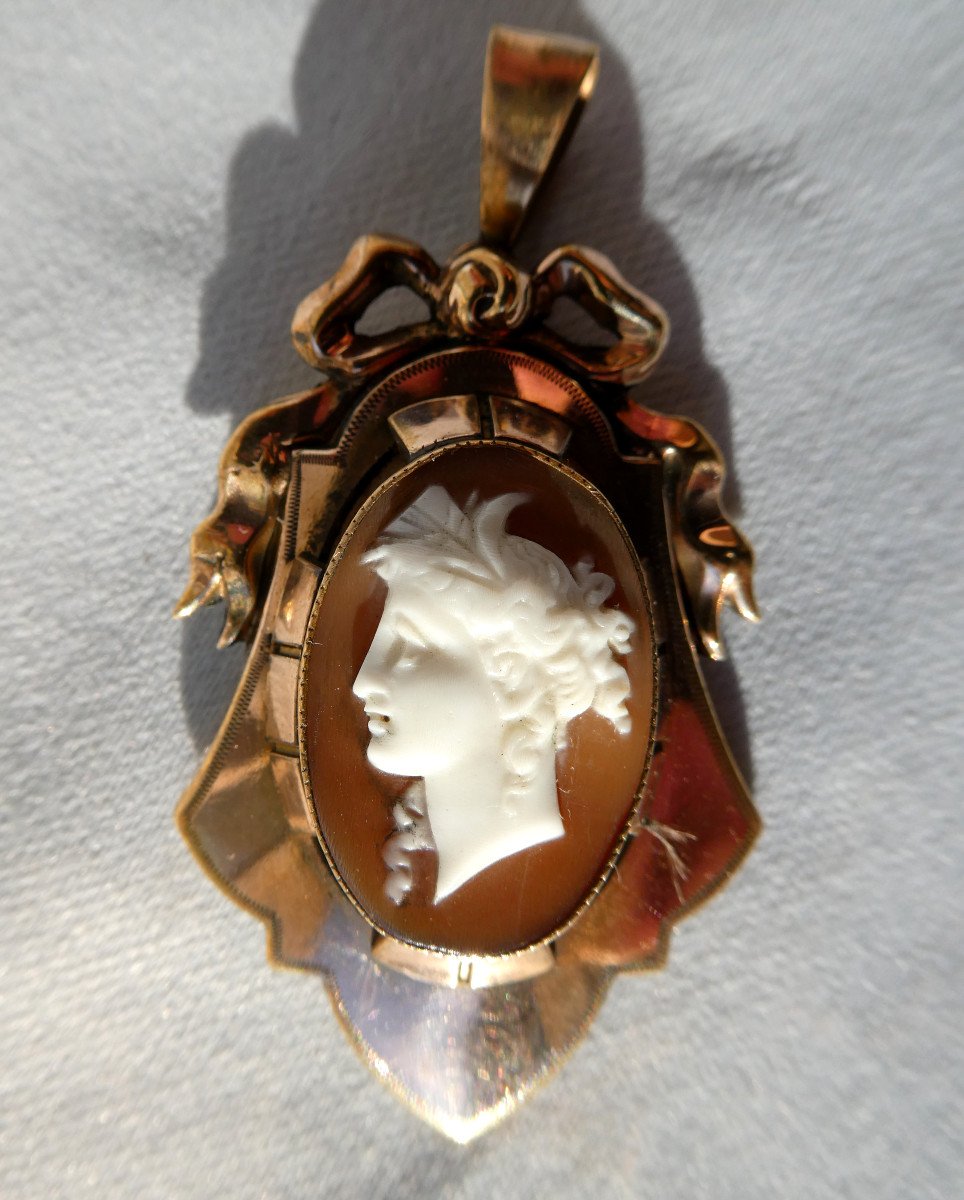 Camée Coquillage époque Napoléon III , Profil à l'Antique , Jeune Femme , Pendentif Bijou XIXe