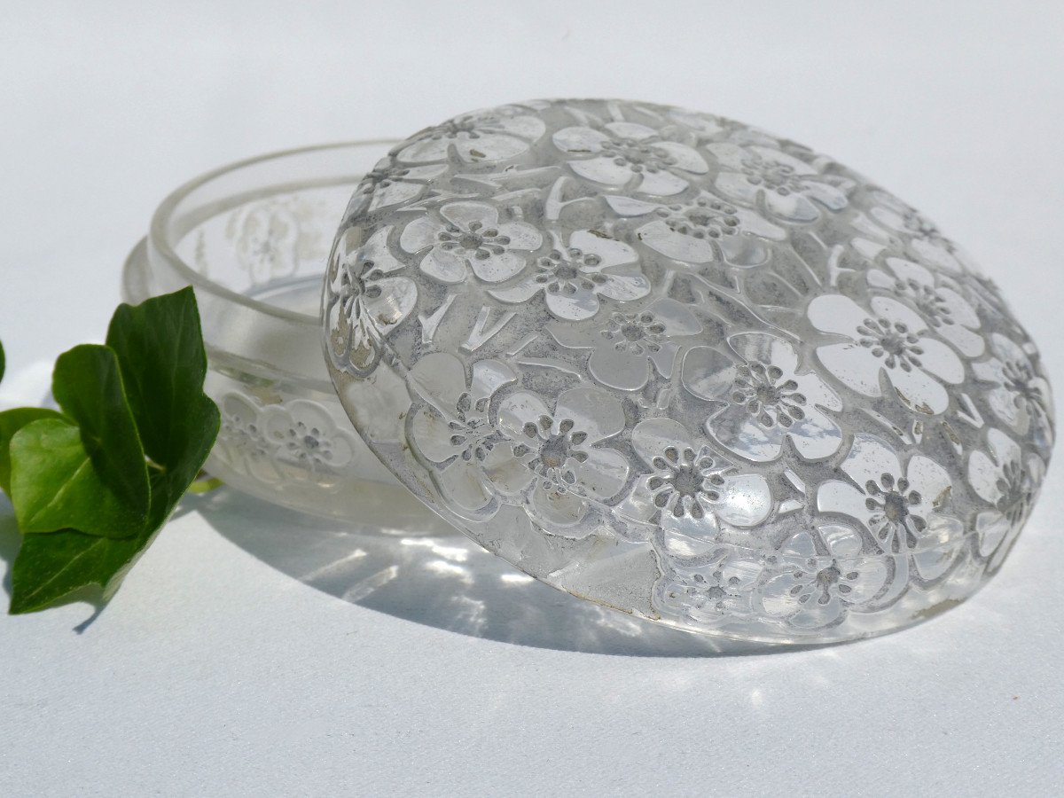 Enamelled Glass Powder Box By René Lalique, Model Emiliane, Art Deco Perfume 1920-photo-2
