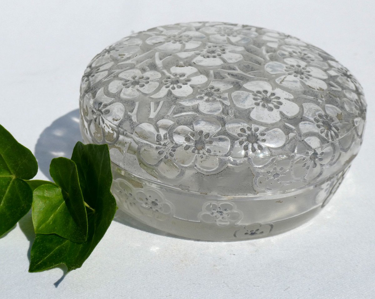 Enamelled Glass Powder Box By René Lalique, Model Emiliane, Art Deco Perfume 1920