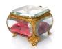 1681865-6958eb2b9c0e6.jpg