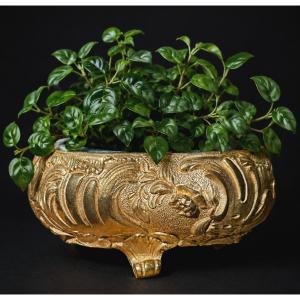 Jardiniere en Bronze Doré , 1900 Style Louis XV , Vide Poche XIXe , Trefle