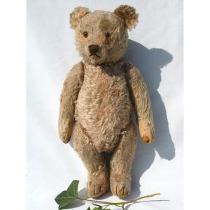 Steiff Brand Teddy Bear, Ear Button, Toy 1930-1940, Mohair Teddy Bear