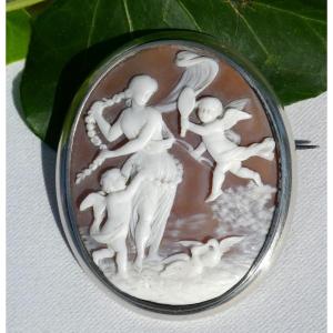 Large Shell Cameo, Aphrodite Decor In The Mirror, Napoleon III Nineteenth Jewel, Brooch, Angel