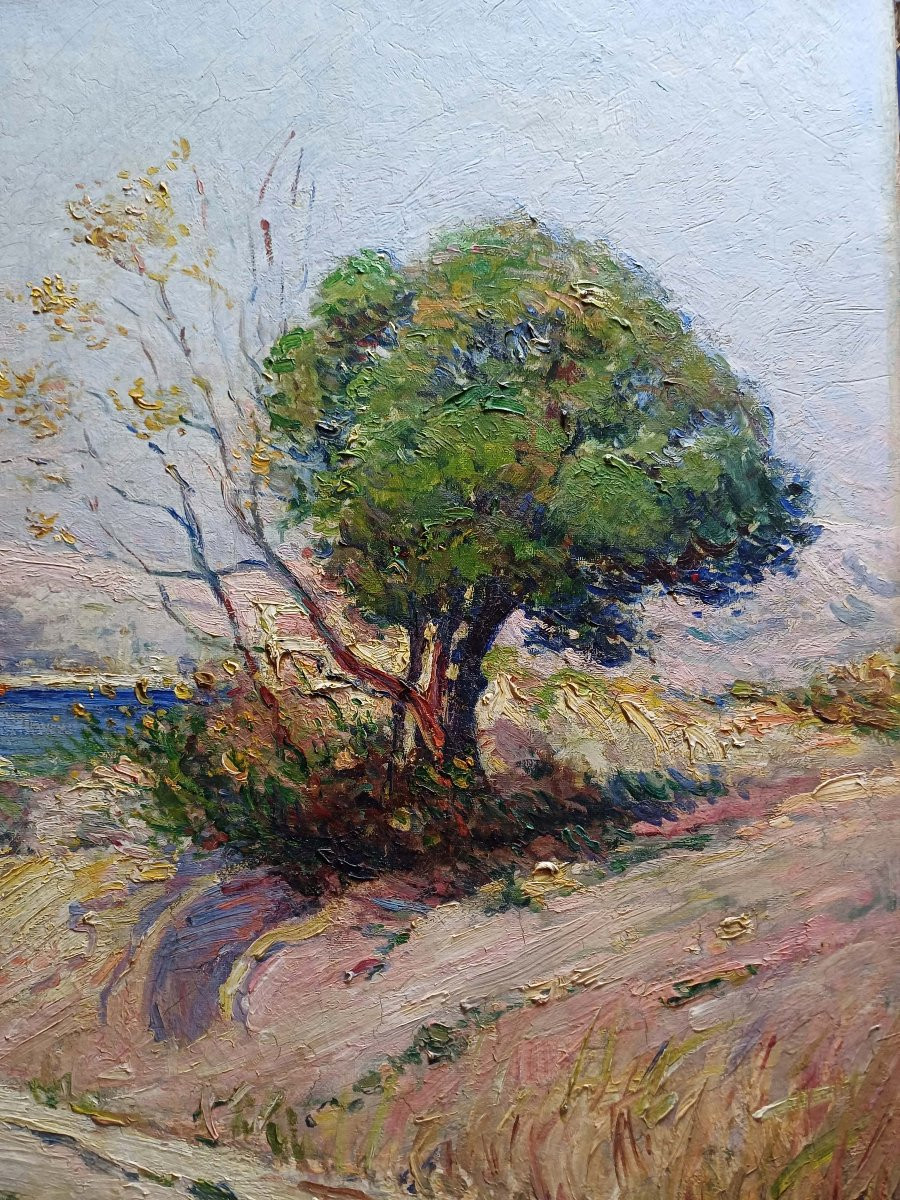 Mediterranean - Carlo Pellegrini (1866-1937)-photo-3