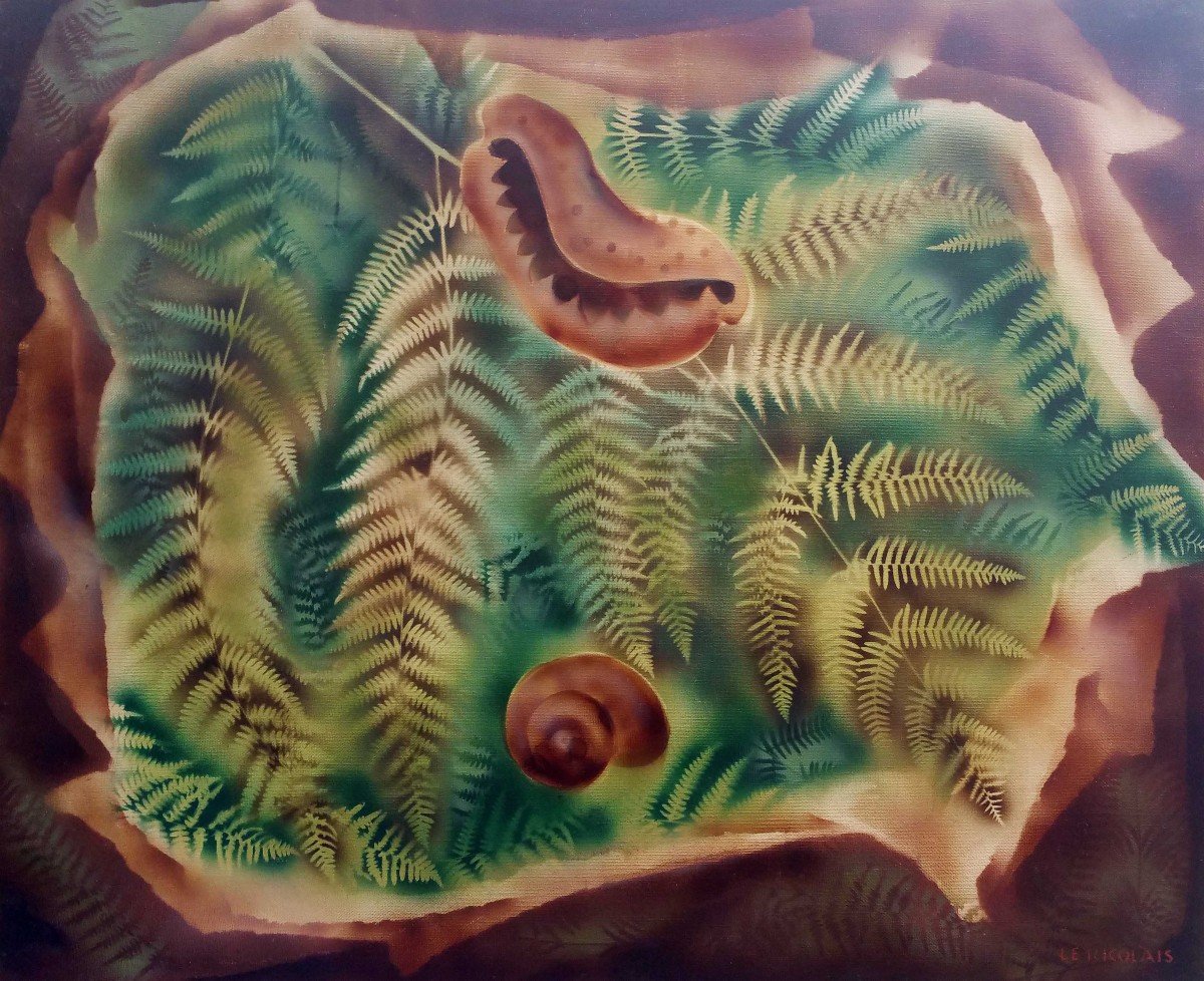 Seashells - Robert Le Ricolais (1884-1977)