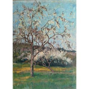 Cerisier- Louis Jourdan (1872-1948) 