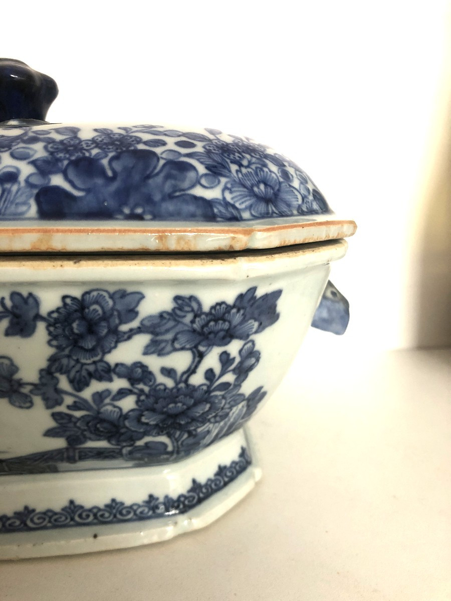 Terrine China, 18th Century.-photo-3
