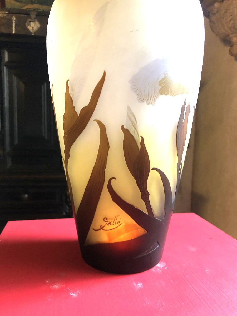 Gallé Vase-photo-1