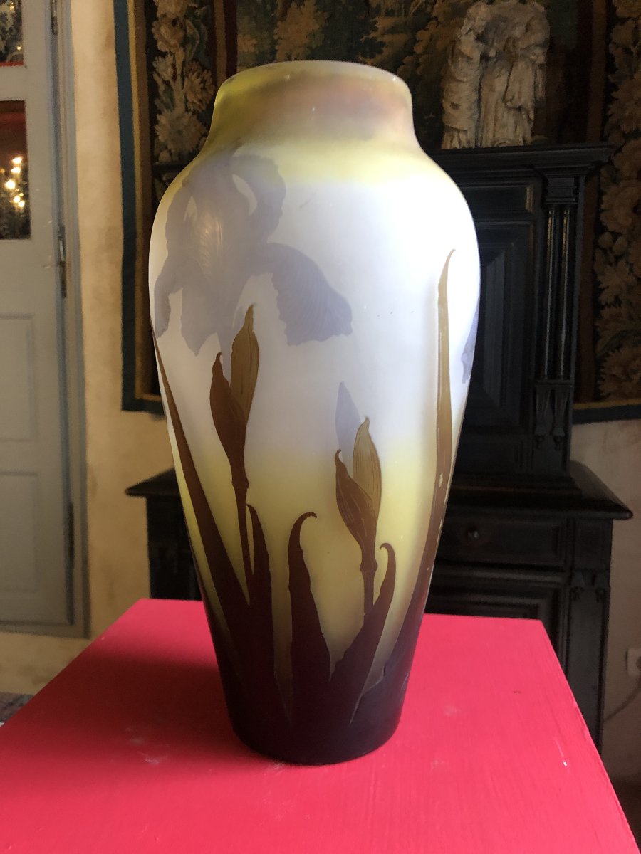 Gallé Vase-photo-4